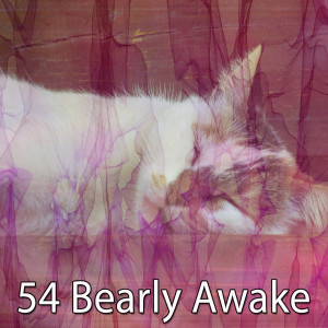 Album 54 Bearly Awake from Nature Sounds Nature Music