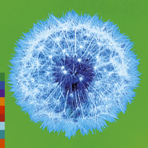 收聽Carole Rowley的Take Good Care of Your Soul歌詞歌曲