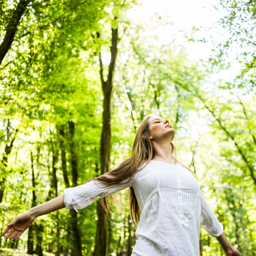 Blissful Nature's Bird Serenade