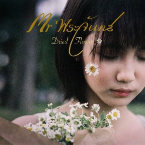 ดาวน์โหลดและฟังเพลง Dried Flower พร้อมเนื้อเพลงจาก Mr' พระจันทร์