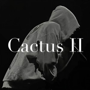 Listen to Cactus 2 song with lyrics from Ra6te