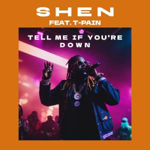 อัลบัม Tell Me If You're Down (feat. T-Pain) (Explicit) ศิลปิน Shen