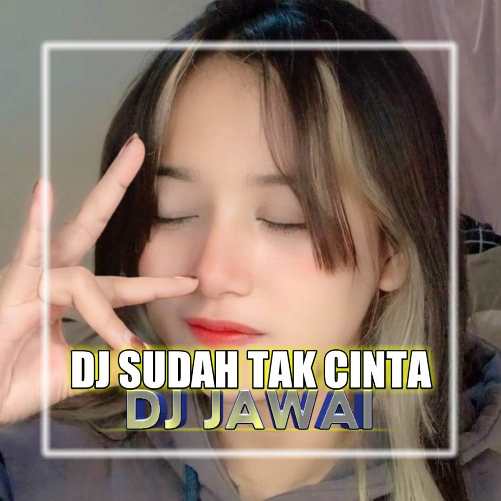 DJ Sudah Tak Cinta