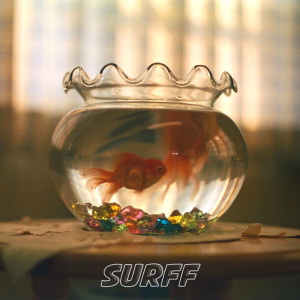 ดาวน์โหลดและฟังเพลง ดีกว่ามั้ย? พร้อมเนื้อเพลงจาก SURFF