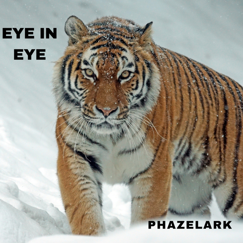 EYE IN EYE