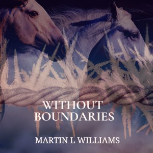 Martin L. Williams的專輯Without Boundaries