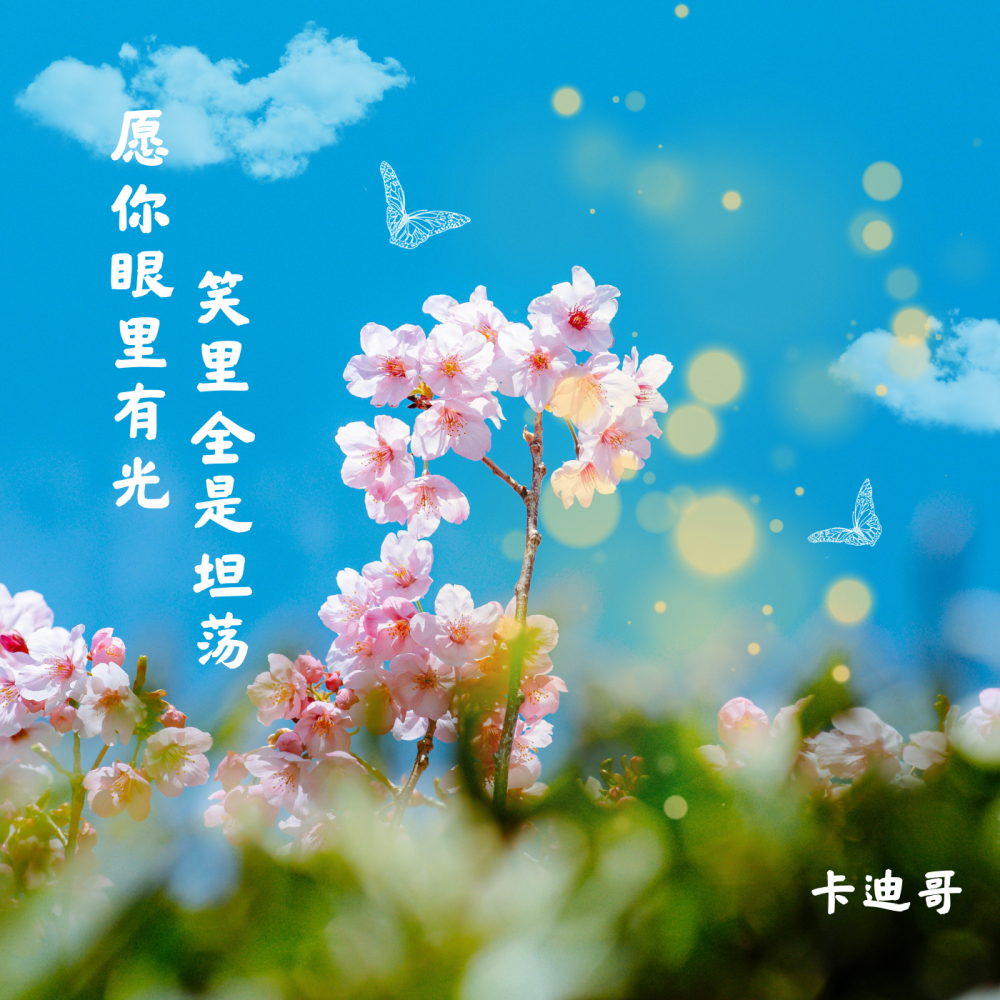 愿你眼里有光 笑里全是坦荡