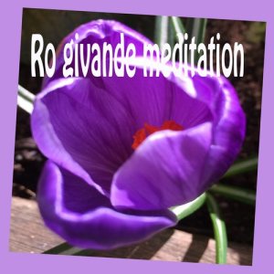 收聽Gröna Oasen的Natur歌詞歌曲