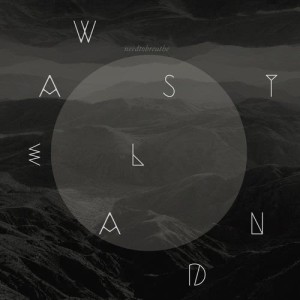 ดาวน์โหลดและฟังเพลง Wasteland (Live From The Woods) พร้อมเนื้อเพลงจาก Needtobreathe