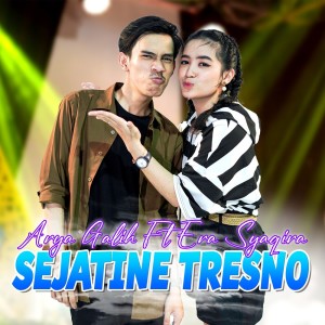 Album Sejatine Tresno from Era Syaqira