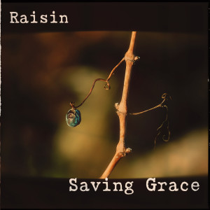 Listen to Raisin (Live Acoustic|Explicit) song with lyrics from Saving Grace