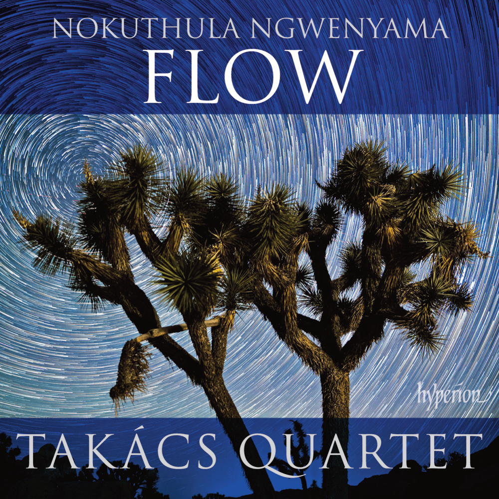 Ngwenyama: Flow: IV. Finale: b. Enjoy and Go With the Flow