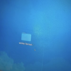 Album white ferrari from ANDREWBATES