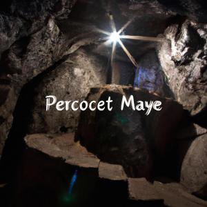 ดาวน์โหลดและฟังเพลง Percocet Maye (Explicit) พร้อมเนื้อเพลงจาก SHELOVEDREW