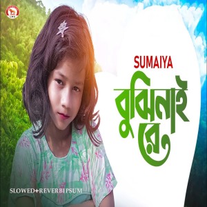 Listen to Bujhinai Re (Slowed+Reverbipsum) song with lyrics from Sumaiya