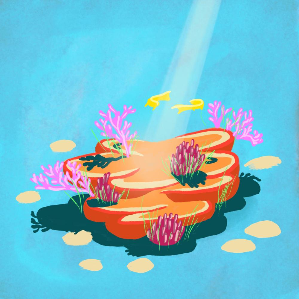 Coral