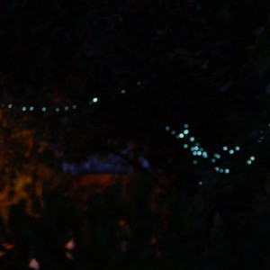 ดาวน์โหลดและฟังเพลง Lo Que un Día Fué - Sesiones Atardecer (Acústico) พร้อมเนื้อเพลงจาก Camalé