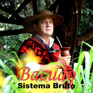 Album Sistema Bruto from 