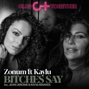 收聽Alex Soler的Bitches Say (R3V3S Remix)歌詞歌曲