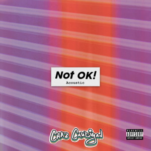 Chaz Cardigan的專輯Not OK!