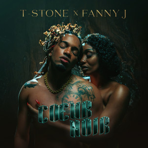 Listen to Coeur Noir song with lyrics from T-Stone