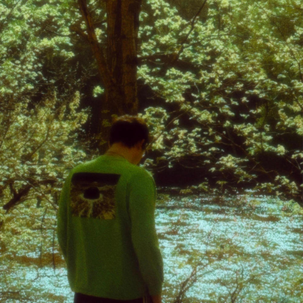 veins (Explicit)