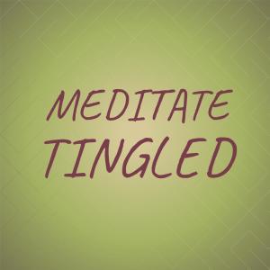 收听Wasil Vhan的Meditate Tingled歌词歌曲
