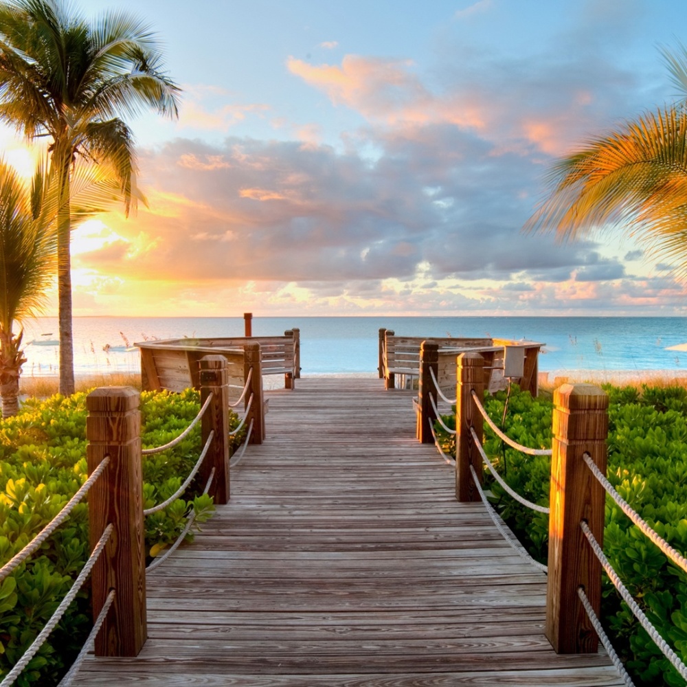Paradise