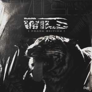 收聽RubiNk的Wild (Prada Edition)歌詞歌曲