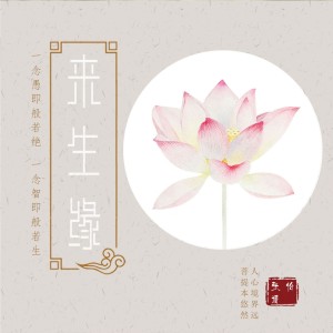 收听张怡诺的来生缘 (DJ版)歌词歌曲