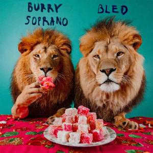 Listen to FERRARI (INSTRUMENTAL) song with lyrics from Burry Soprano