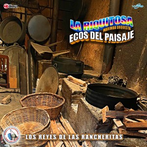 ดาวน์โหลดและฟังเพลง Mix Imparable Contra el Dragón: Contra el Dragón / Como una Novela พร้อมเนื้อเพลงจาก Marimba Orquesta La Riquitosa Ecos del Paisaje