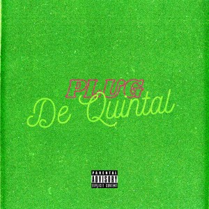 Rastro akt的專輯Plug de Quintal (Explicit)