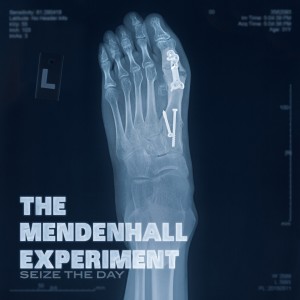 收聽The Mendenhall Experiment的Seize the Day歌詞歌曲