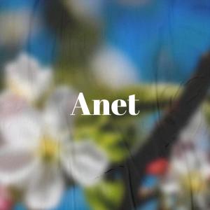 Listen to Put Margie song with lyrics from Rasa Murt