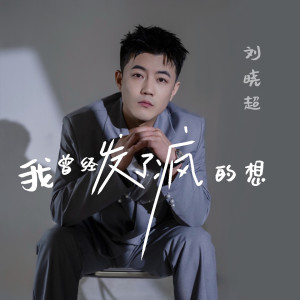 Album 我曾经发了疯的想 (DJ默涵版) from DJ默涵