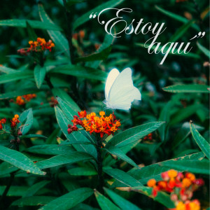 Listen to Estoy Aquí song with lyrics from Era de Oro