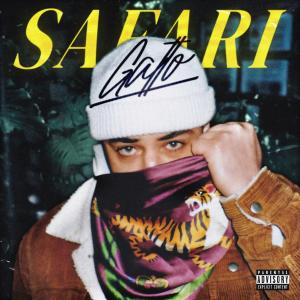 Listen to Safari song with lyrics from Gatto
