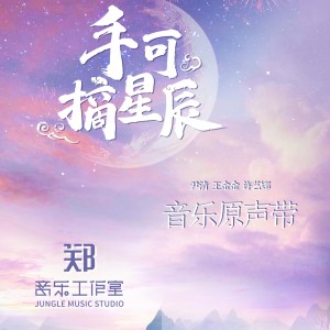 Album 手可摘星辰 网剧音乐原声带 from 王金金
