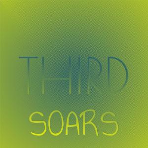 Various Artists的專輯Third Soars