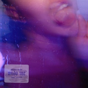 ดาวน์โหลดและฟังเพลง Undo Me (Explicit) พร้อมเนื้อเพลงจาก Mickey Valen