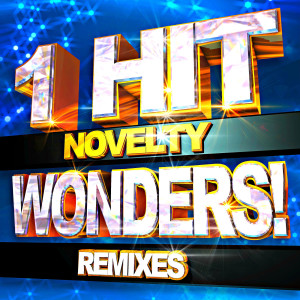 Novelty 1 Hit Wonders! Remixes