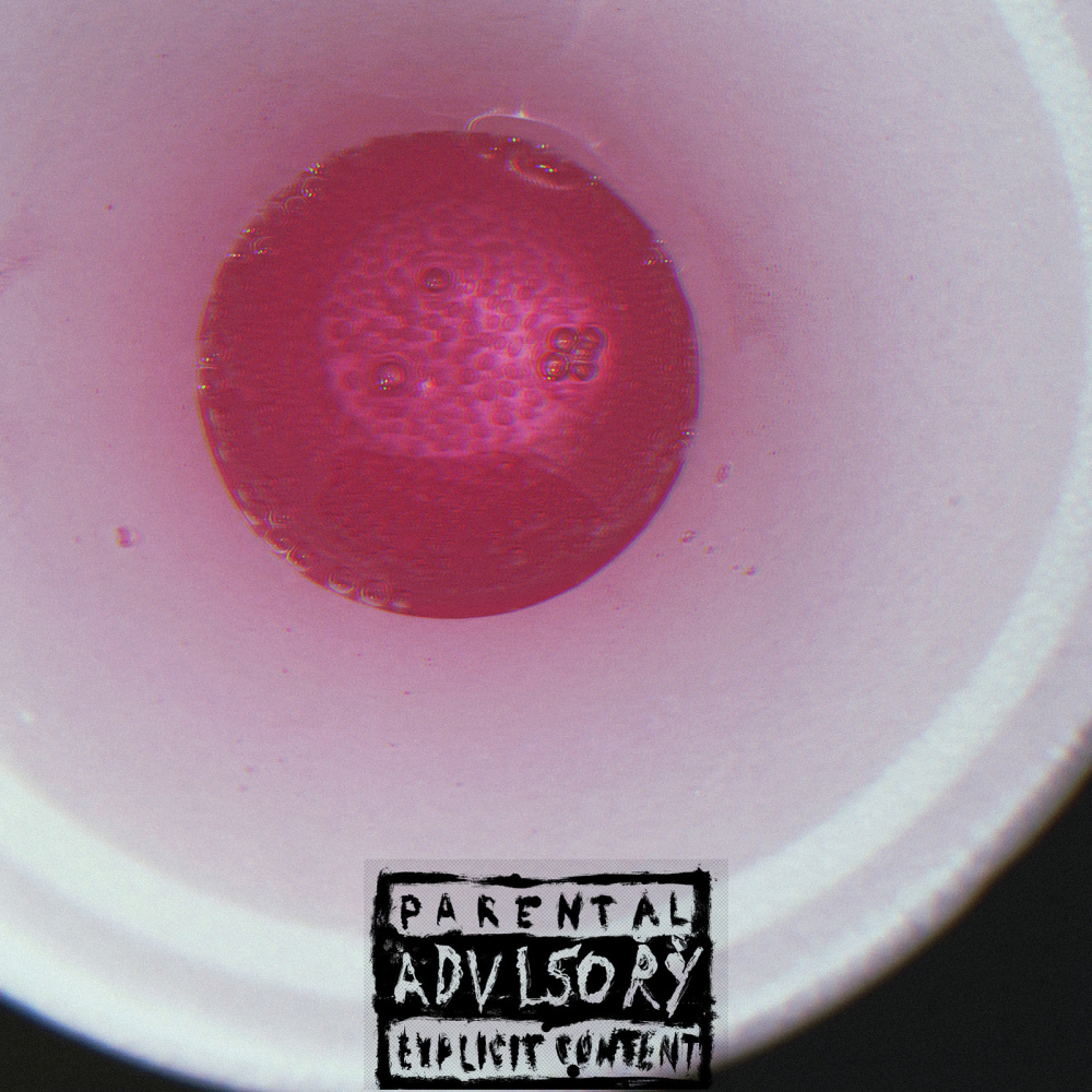 Trying Shit (Explicit)