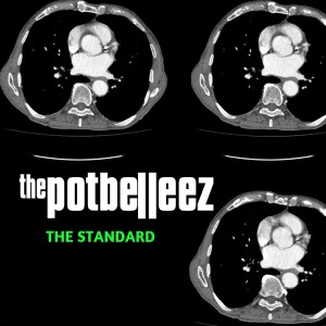 อัลบัม The Standard ศิลปิน The Potbelleez