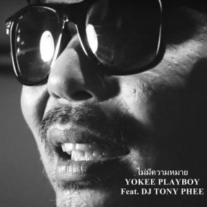 ดาวน์โหลดและฟังเพลง ไม่มีความหมาย Feat. DJ TONY PHEE พร้อมเนื้อเพลงจาก DJ Tony Phee