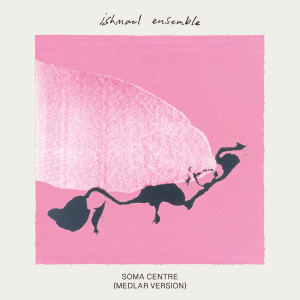 收听Ishmael Ensemble的Soma Centre (Medlar Version)歌词歌曲