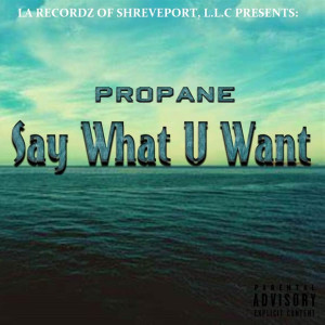 Album Say What U Want (Explicit) from Propane