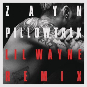 PILLOWTALK REMIX [Explicit]