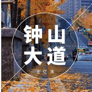 王亿涛的专辑钟山大道