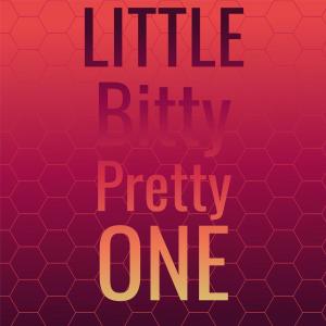 Album Little Bitty Pretty One from Silvia Natiello-Spiller